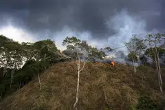 Gambar yang diambil pada 13 April 2016 ini menunjukkan asap tebal daripada kebakaran hutan di Taman Negara Leuser di wilayah Aceh, akibat perbuatan penduduk kampung membuka kawasan hutan untuk pertanian. Namun, jumlah titik panas di Indonesia yang dikesan satelti dari Jan hingga Julai tahun ini berkurangan berbanding tempoh sama tahun lalu. 