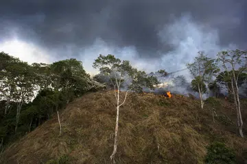 Gambar yang diambil pada 13 April 2016 ini menunjukkan asap tebal daripada kebakaran hutan di Taman Negara Leuser di wilayah Aceh, akibat perbuatan penduduk kampung membuka kawasan hutan untuk pertanian. Namun, jumlah titik panas di Indonesia yang dikesan satelti dari Jan hingga Julai tahun ini berkurangan berbanding tempoh sama tahun lalu. 