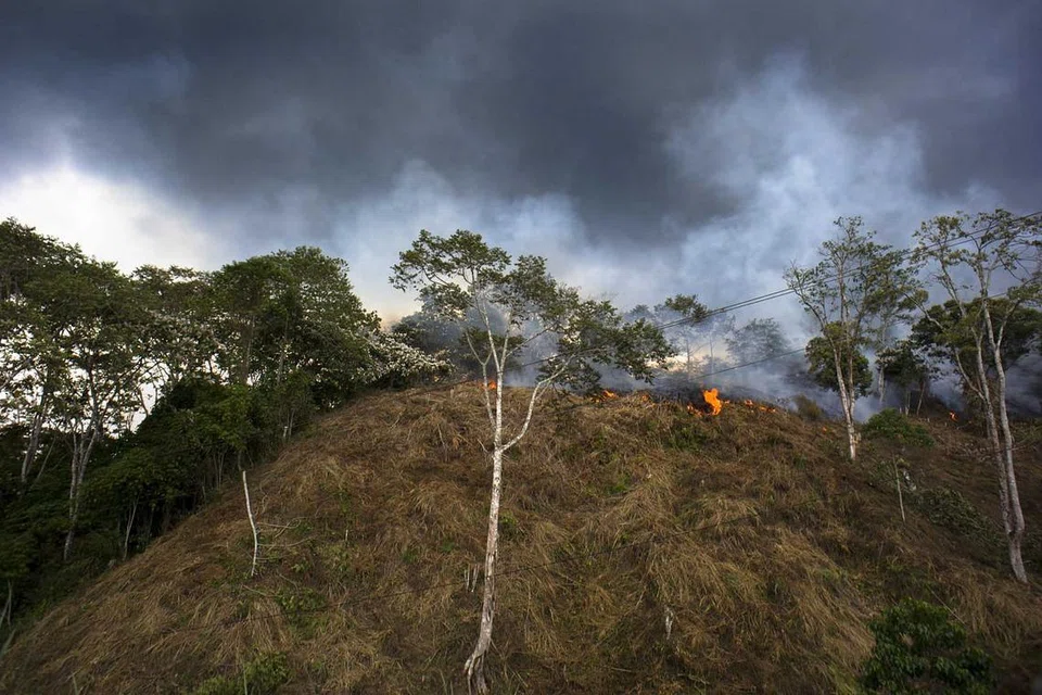 Gambar yang diambil pada 13 April 2016 ini menunjukkan asap tebal daripada kebakaran hutan di Taman Negara Leuser di wilayah Aceh, akibat perbuatan penduduk kampung membuka kawasan hutan untuk pertanian. Namun, jumlah titik panas di Indonesia yang dikesan satelti dari Jan hingga Julai tahun ini berkurangan berbanding tempoh sama tahun lalu. 