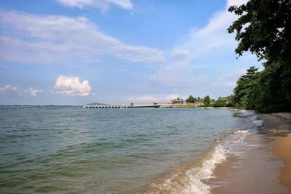 Singapore, MSE, Grace Fu, climate