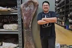 Penyelidik Encik Thitiwoot Sethapanichsakul bergambar bersama tulang kaki spesies baru dinasaur gergasi berleher panjang yang ditemui di wilayah Chaiyaphum, Thailand.