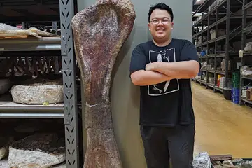 Penyelidik Encik Thitiwoot Sethapanichsakul bergambar bersama tulang kaki spesies baru dinasaur gergasi berleher panjang yang ditemui di wilayah Chaiyaphum, Thailand.