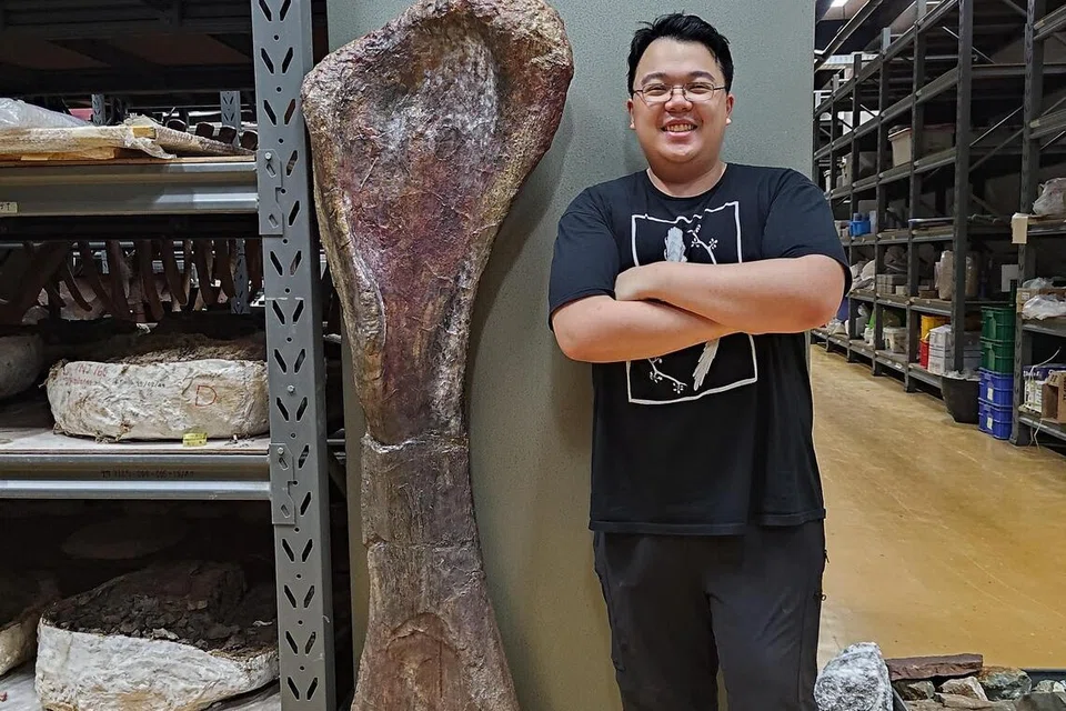 Penyelidik Encik Thitiwoot Sethapanichsakul bergambar bersama tulang kaki spesies baru dinasaur gergasi berleher panjang yang ditemui di wilayah Chaiyaphum, Thailand.