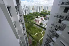 Taman Damai adalah salah satu daripada dua ruang hijau yang telah berkembang di Taman Jurong dalam beberapa bulan kebelakangan ini.