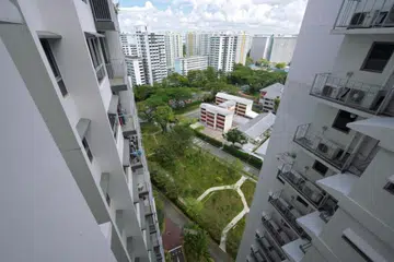 Taman Damai adalah salah satu daripada dua ruang hijau yang telah berkembang di Taman Jurong dalam beberapa bulan kebelakangan ini.