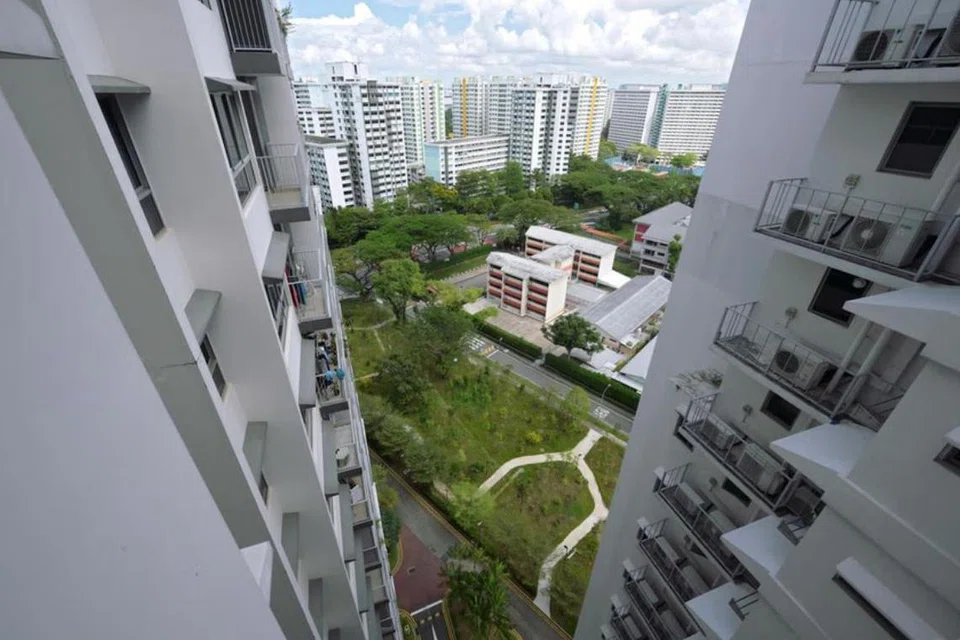 Taman Damai adalah salah satu daripada dua ruang hijau yang telah berkembang di Taman Jurong dalam beberapa bulan kebelakangan ini.