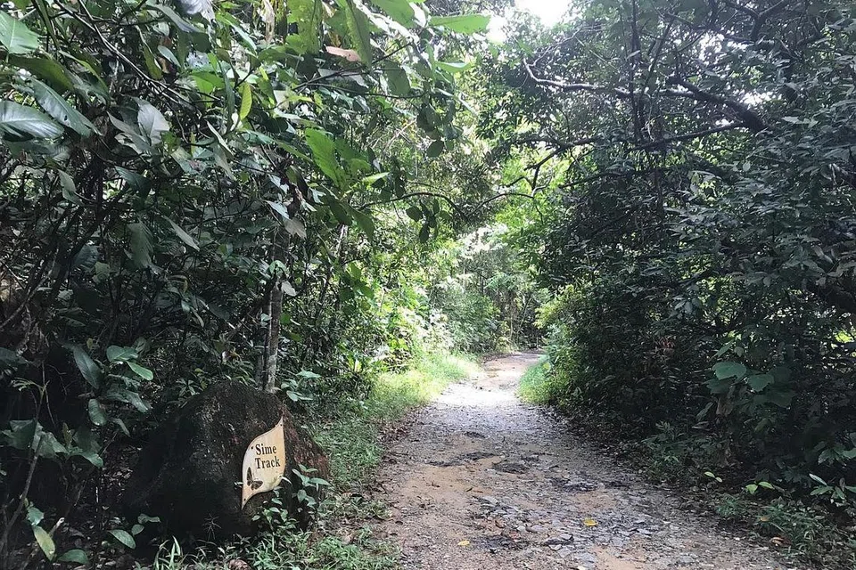 DISIASAT: Salah satu kumpulan melibatkan 26 orang keluar secara terlarang dari trek yang disediakan di Hutan Simpan Kawasan Tadahan Central. - Foto fail