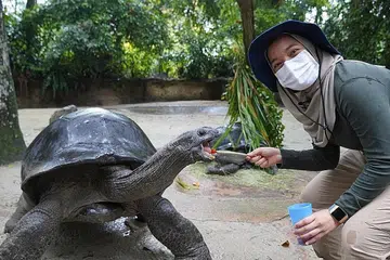 KURA-KURA GERGASI: Antara haiwan yang wartawan temui dan diberi peluang memberi makan adalah kura-kura gergasi Aldabra, Mahe, yang sudah berusia lebih 80 tahun.