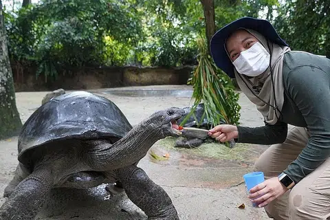 KURA-KURA GERGASI: Antara haiwan yang wartawan temui dan diberi peluang memberi makan adalah kura-kura gergasi Aldabra, Mahe, yang sudah berusia lebih 80 tahun.