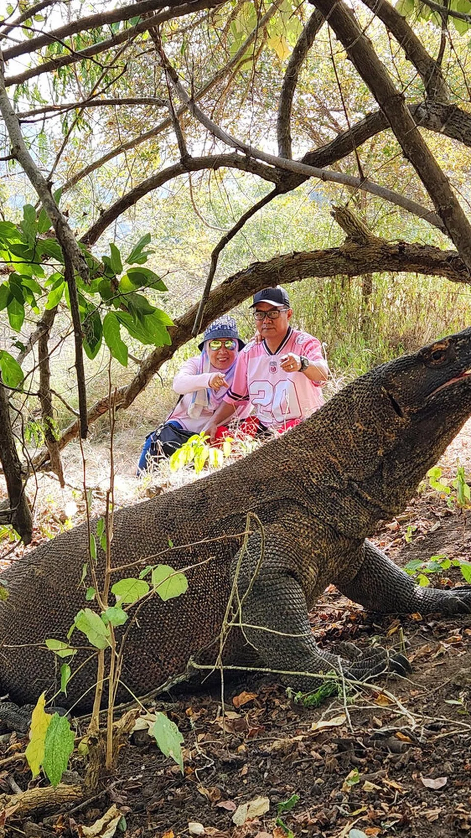 Komoda dari dekat... Encik Mustaffa Yaakub dan isterinya, Cik Masita Asmawi, tidak melepaskan peluang bergambar dengan naga komodo.