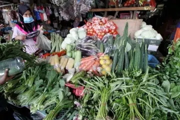 M’sia, kos sara hidup, harga sayur, banjir