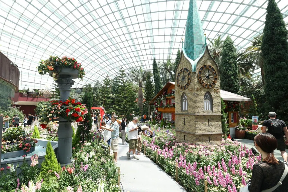 alphine adventure, gardens by the bay