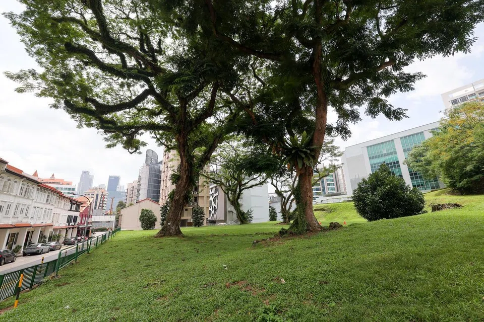 ura, kondo utama, Holland Plain, River Valley