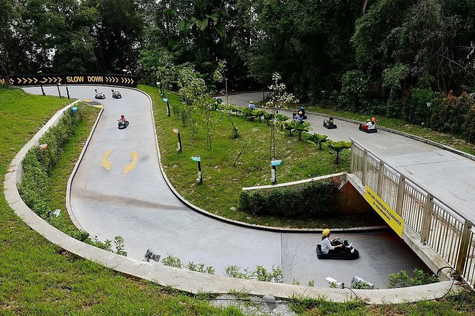 NAFAS BARU BAGI TARIKAN 'LUGE': Skyline Luge Sentosa menambah dua lagi landasan sebagai sebahagian usaha menyuntik nafas baru kepada daya tarikan itu dan menggalak orang ramai terus mengunjunginya. - Foto ZAOBAO