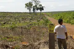 Melihat tanah yang semakin gersang