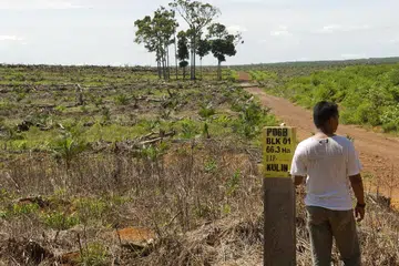 Melihat tanah yang semakin gersang