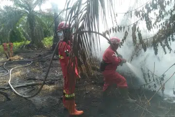 Anggota pasukan dari Agensi Pengurusan Kebakaran Hutan dan Tanah Sumatera, menjalankan operasi memadam kebakaran hutan dan tanah di wilayah Riau ketika pemerintah wilayah itu mengisytiharkan status amaran  darurat menjelang musim kemarau 2026.