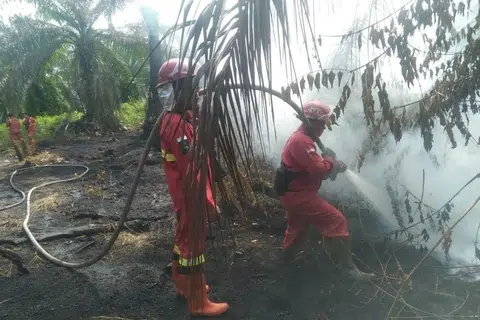 Anggota pasukan dari Agensi Pengurusan Kebakaran Hutan dan Tanah Sumatera menjalankan operasi memadam kebakaran hutan dan tanah di wilayah Riau ketika pemerintah wilayah itu mengisytiharkan status amaran  darurat menjelang musim kemarau 2026. Pihak berkuasa meningkatkan kesiapsiagaan susulan cuaca panas, angin kencang dan keadaan tanah gambut yang mudah terbakar sehingga mempercepat penyebaran api.