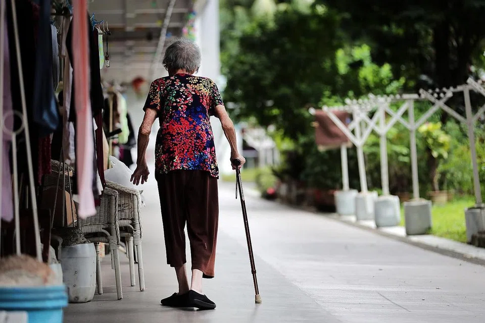 PERLUKAN SOKONGAN: Sesetengah warga emas yang tinggal bersendirian mungkin rasa kesunyian dan terasing daripada dunia luar. Oleh itu, khidmat program pendamping yang disediakan beberapa badan setempat melihat sukarelawan menyediakan sokongan emosi dan psikologi kepada mereka dengan mengunjungi golongan warga emas ini di rumah atau menghubungi mereka melalui telefon untuk berinteraksi dan membantu mereka menangani cabaran yang mungkin dihadapi. - Foto ST