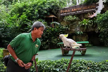 BIG JOHN, BERUSIA LEWAT 50-AN TAHUN: Burung Kakak Tua Jambul Kuning ini merupakan maskot taman untuk lebih sedekad sejak 1985 dan tampil dalam iklan yang disiarkan di luar negara. Burung ini telah menjadi agak pemarah dan tidak lagi gemar dikendalikan penjaga burung, dan lebih suka bertenggek atas dahannya sendiri hari ini. Kini, ia membuat penampilan awam sekali-sekala, dan masih menyapa pengunjung dengan "hello" dan "bye bye".