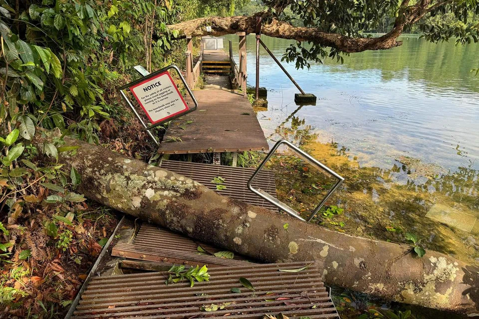 Laluan ‘boardwalk’ Jejak Chemperai di MacRitchie rosak akibat angin kencang pada 17 September. 