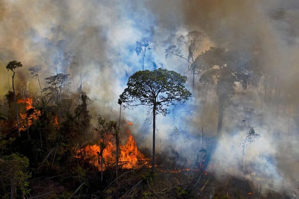 KESAN PERUBAHAN IKLIM: Ekoran gelombang panas dan kemarau yang lebih kuat dan kerap, kejadian kebakaran hutan dijangka lebih banyak berlaku termasuk di kawasan hutan hujan Amazon. - Foto AFP