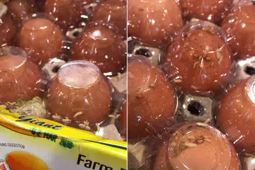 ULAT DALAM BUNGKUSAN TELUR: Bungkusan telur di pasaraya Giant Tampines dikatakan berulat, menurut video yang tersebar di media sosial. - Foto FACEBOOK/LEONARD TANG