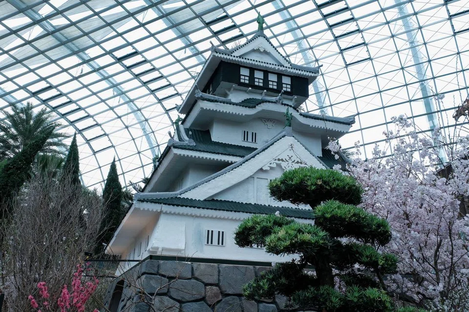 Pameran bunga sakura di Gardens by the Bay membawa tema Fukuoka, Jepun, dengan variasi pokok sakura terbesar setakat ini. Turut dipamer ialah replika Istana Kokura.
