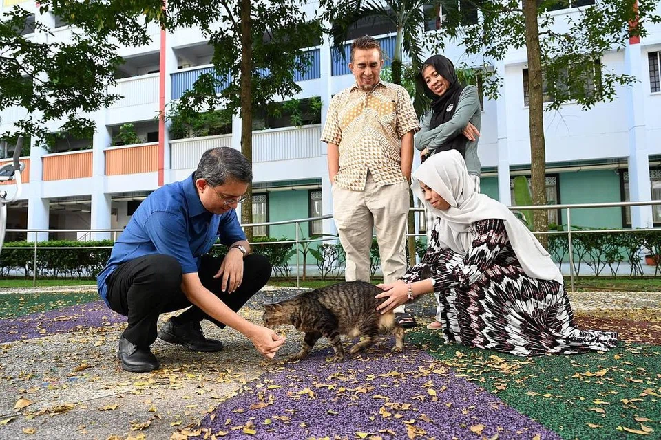 SESI PELIBATAN PENDUDUK: Dr Faishal (kiri) berinteraksi dengan kucing masyarakat di Nee Soon semasa sesi pelibatan masyarakat. Dr Faishal turut berbincang dengan keluarga penjaga kucing masyarakat (dua dari kiri) Encik Abdul Malik Rahamat, Cik Ratnasari Dewi Ahmad dan Cik Nurelyana Nabhila Abdul Malik tentang kebimbangan dan pemerhatian mereka. - Foto-foto BH oleh KHALID BABA