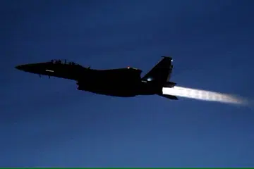 Dua jet pejuang F-15 dari Angkatan Udara Republik Singapura (RSAF) telah bergegas mengiringi pesawat itu jauh daripada kawasan yang sesak. Pesawat itu selamat mendarat di Lapangan Terbang Changi.