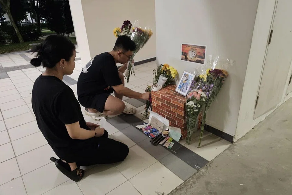 Perunding jualan runcit, Cik Janet Chin telah menyediakan sudut peringatan sementara untuk kucing bernama King Kong yang ditemui mati di Yishun, dalam keadaan perut terburai dan mata dikorek pada pagi 9 Mei. 
