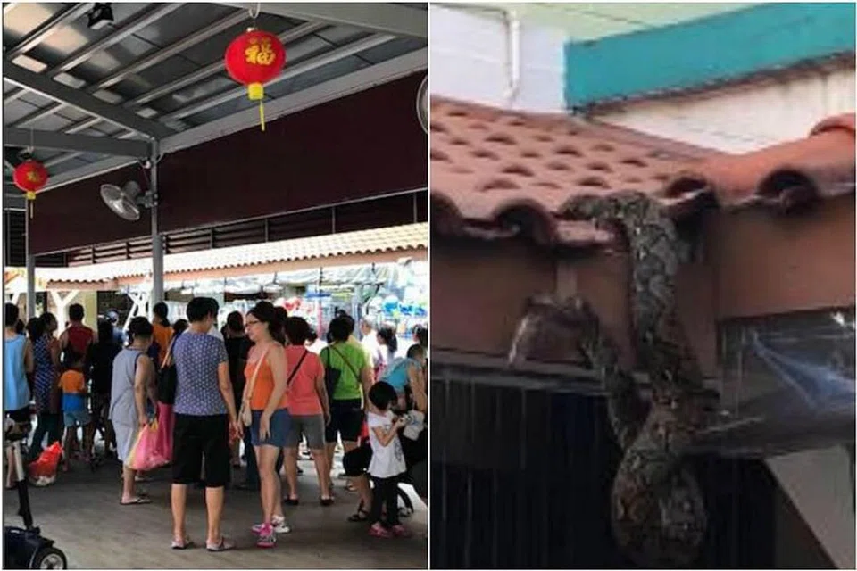 Video yang disiarkan oleh pengguna Facebook Sunny Rajah menunjukkan ular sawa besar melingkar di alur sebuah atap bumbung. Encik Rajah kemudian menyiarkan gambar orang ramai "semua menunggu ular keluar". 