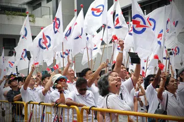 pap, penyokong, parti pemerintah