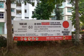 Gejala denggi: Golongan tua paling berisiko, rawatan awal penting 