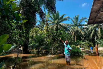 Penduduk Kampung Baharu Sri Gading, Batu Pahat, Johor, Encik Samsudin Ali, pada 7 April, menunjukkan kebun kelapa sawit miliknya yang dinaiki air sejak 19 Mac.