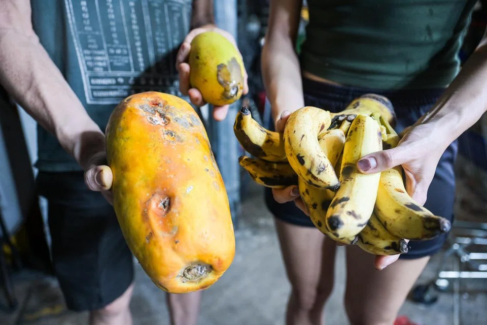 Daripada membuang buah-buahan dan sayur-sayuran yang masih selamat untuk dimakan tetapi mungkin mempunyai sedikit kecacatan atau bentuk yang tidak sempurna, kedai-kedai di Little India memberikannya kepada sukarelawan Little India Veggie Collection (LIVC) untuk digunakan oleh badan amal, Krsna’s Free Meals.