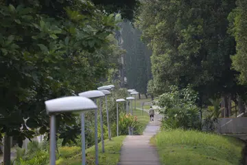 Singapura mempunyai sekitar 210 kilometer laluan alam semula jadi atau nature ways dan lebih 380 kilometer penghubung taman.