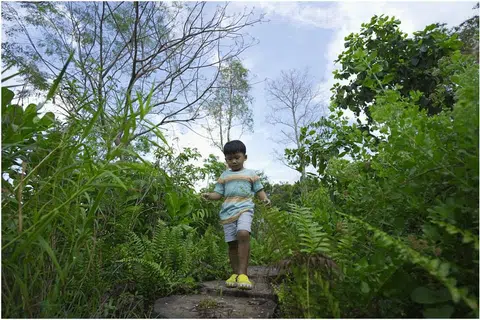 TEROKA ALAM: Pengunjung boleh meneroka beberapa tempat menarik di sepanjang laluan yang juga melintasi kawasan Taman di Persisiran Timur dan Changi.