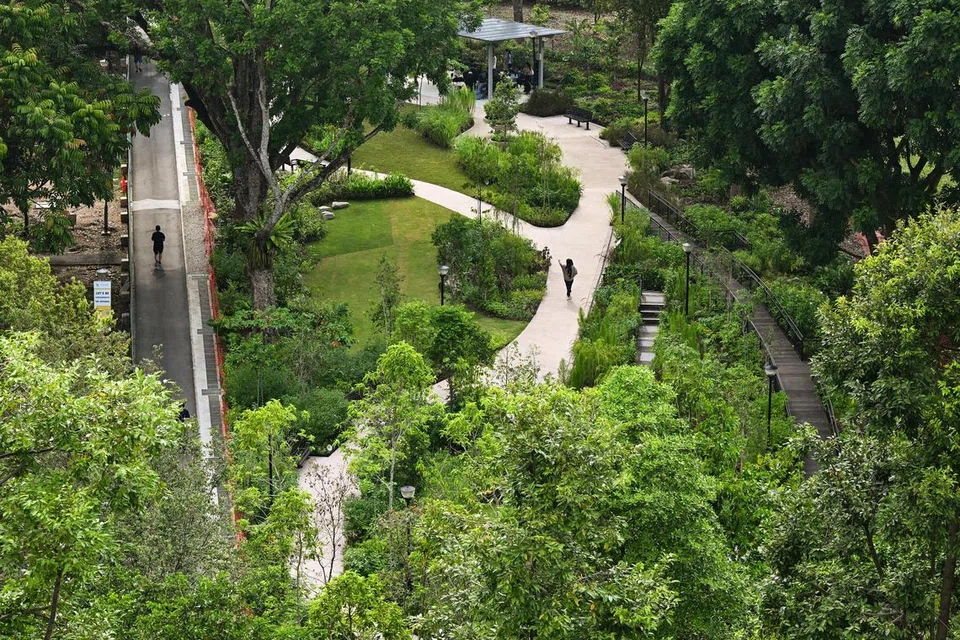PENUH KEHIJAUAN: Taman terapeutik di Taman Kolam Yishun dibina selepas berunding dengan kakitangan di Hospital Khoo Teck Puat.