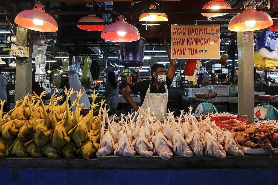 BOLEH JEJAS BEKALAN: Pihak penternak Malaysia berkata Singapura mungkin melihat kepada negara lain yang berdekatan untuk menggantikan ayam dari Malaysia bagi tempoh jangka panjang. - Foto EPA-EFE
