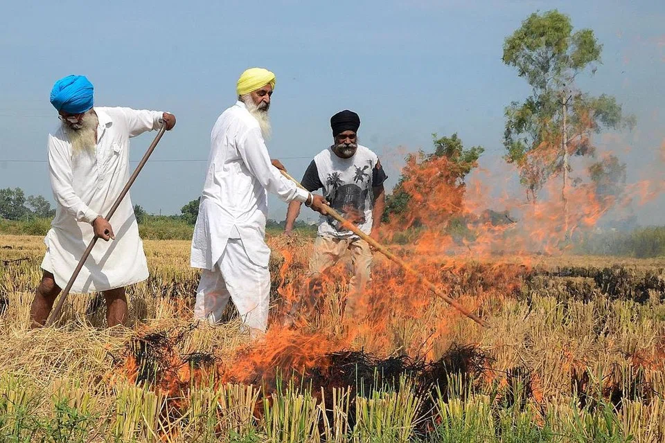TANAH JADI SEMAKIN TIDAK SIHAT: Petani di Amritsar mempersiap bendang mereka selepas menuai padi pado Oktober lalu (gambar atas). Pakar pertanian memberi amaran bahawa hakisan dan kemerosotan tanah bertahun-tahun melalui pertanian intensif telah mewujudkan keadaan yang membawa kepada krisis pengeluaran makanan global. - Foto AFP 