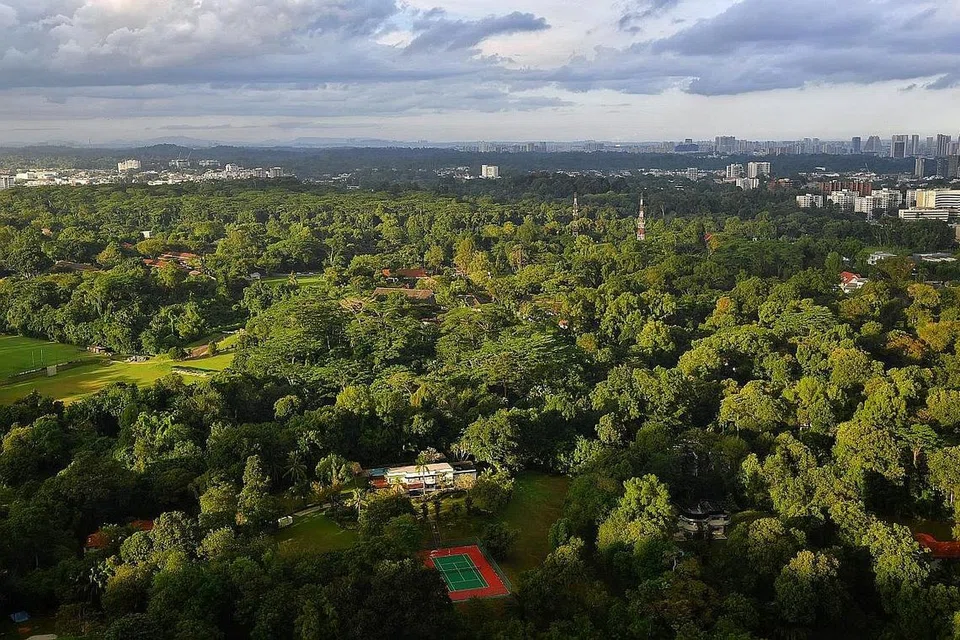 TANAH MILIK NEGARA: Penting untuk melindungi tanah milik negara yang terhad untuk kesejahteraan awam. - Foto BH oleh CHONG JUN LIANG