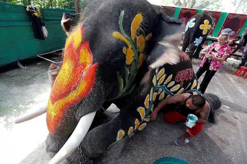 ELAKKAN TUNGGANG GAJAH: Para pelancong dinasihatkan agar tidak menyokong kegiatan yang dianggap mendera haiwan seperti menunggang gajah. - Foto REUTERS