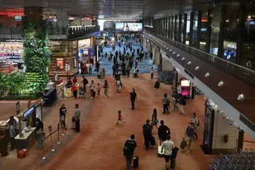 Lapangan Terbang Changi, curi, warga asing