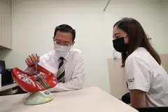 LEBIH RAMAI DIHARAP BANTU: Profesor Alfred Kow menunjukkan model hati kepada seorang penderma, Cik Sophia Chua. Dengan prosedur baru itu, diharapkan lebih ramai orang membantu pesakit memerlukan hati. - Foto BH oleh TIMOTHY DAVID