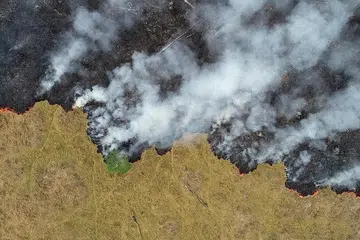 HANGUS TERBAKAR: Beginilah pemandangan dari udara hutan Amazon yang terbakar di Porto Velho, Brazil. - Foto REUTERS