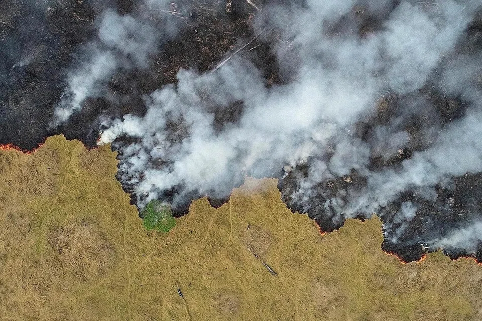 HANGUS TERBAKAR: Beginilah pemandangan dari udara hutan Amazon yang terbakar di Porto Velho, Brazil. - Foto REUTERS