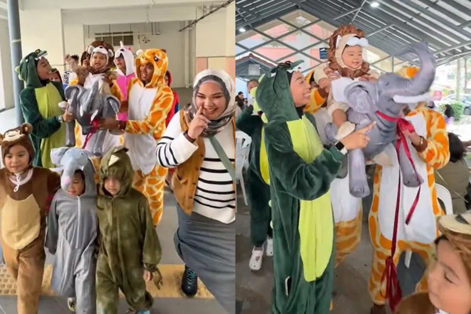 Sambutan ulang tahun pertama Daniyal Syukri (diusung dan memakai kostum singa) bertemakan safari mencuit hati ramai warganet apabila ia dimuat naik oleh Cik Fatin Ummairah pada 11 Februari.