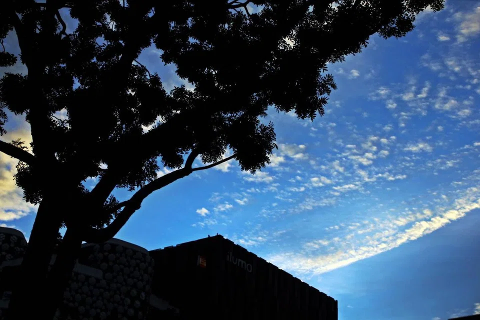 3d2fcf92-4e2e-4fda-a43c-0d2976c30acb