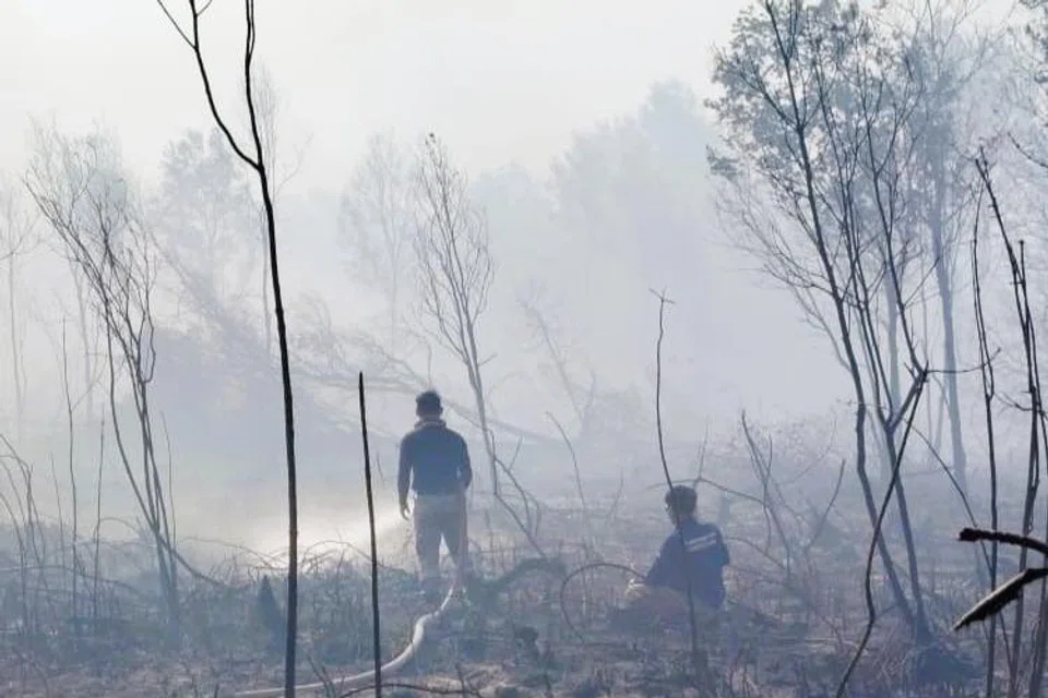 Asap tebal yang terhasil turut menjejaskan jarak penglihatan di lebuh raya berhampiran, sekali gus membahayakan pengguna jalan raya.